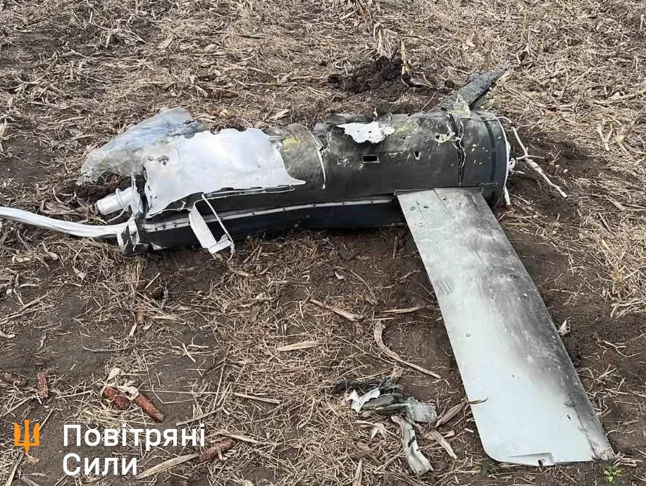 Уламки збитої крилатої ракети на полі: корпус і крило